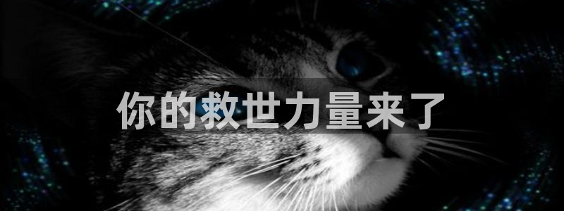 南宫官网入口：你的救世力量来了