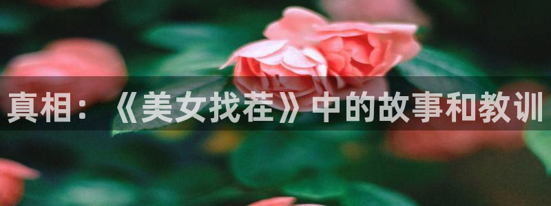 南宫娱乐app下载官网