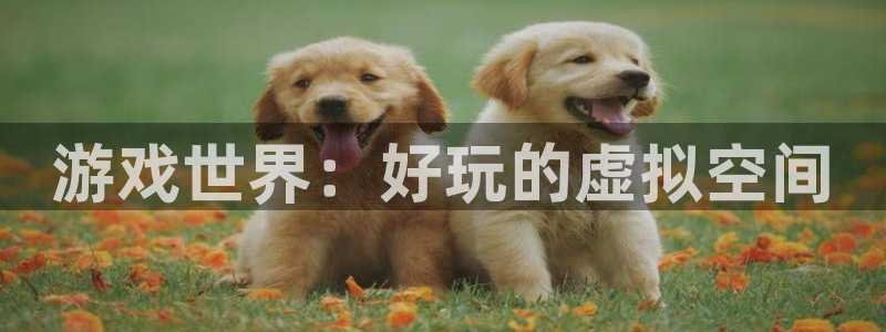 南宫下载官方正版