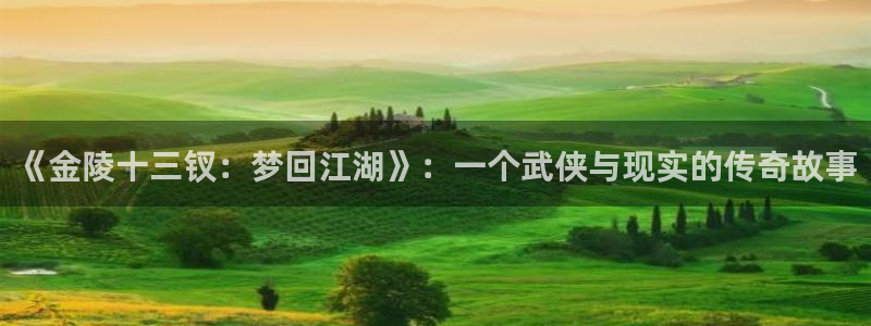 南宫娱乐董事长背景资料：《金陵十三钗：梦回江湖》：一个武侠与