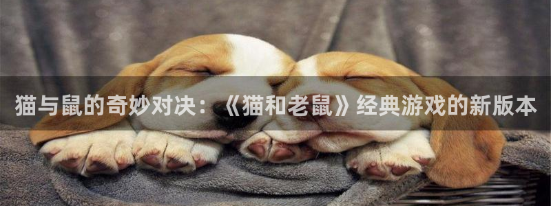 南宫注册入口官网注册：猫与鼠的奇妙对决：《猫和老鼠》经典游戏