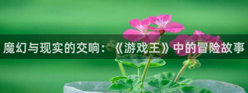 南宫官网下载：魔幻与现实的交响：《游戏王》中的冒险故事