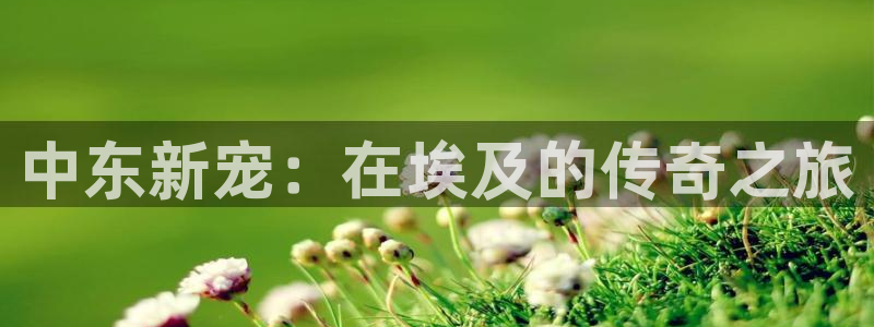 南宫是什么平台：中东新宠：在埃及的传奇之旅