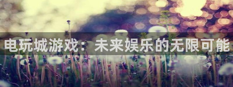 南宫是干嘛的：电玩城游戏：未来娱乐的无限可能